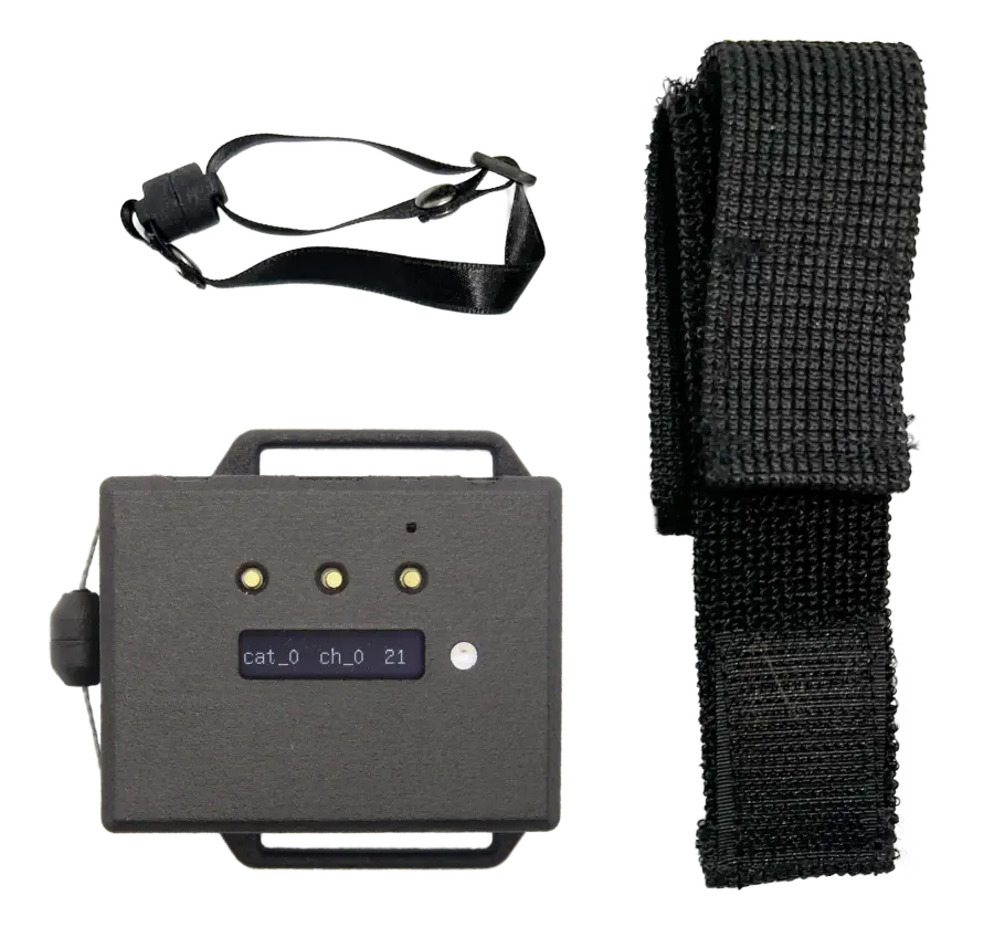 Band Wireless 外観